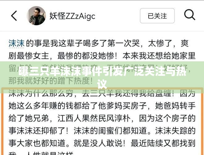 曝三只羊沫沫事件引发广泛关注与热议