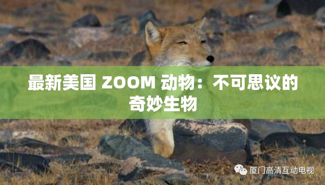 最新美国 ZOOM 动物：不可思议的奇妙生物