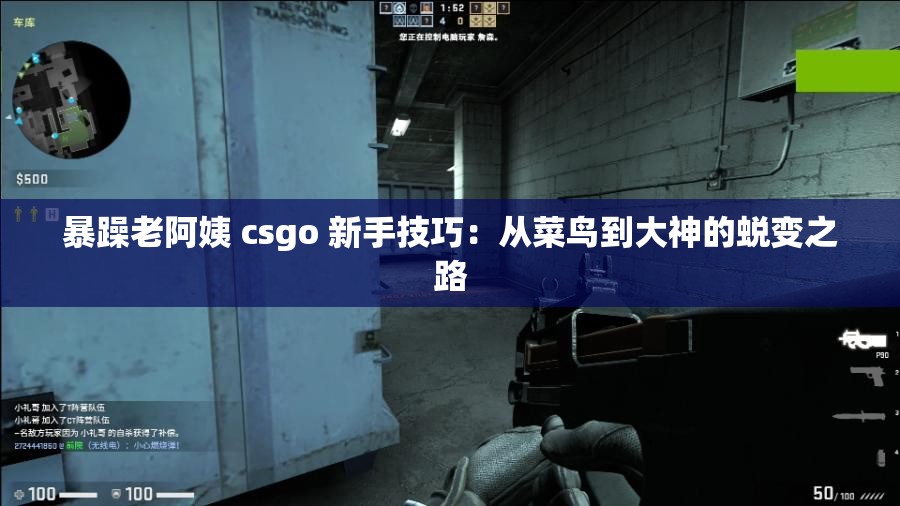 暴躁老阿姨 csgo 新手技巧：从菜鸟到大神的蜕变之路