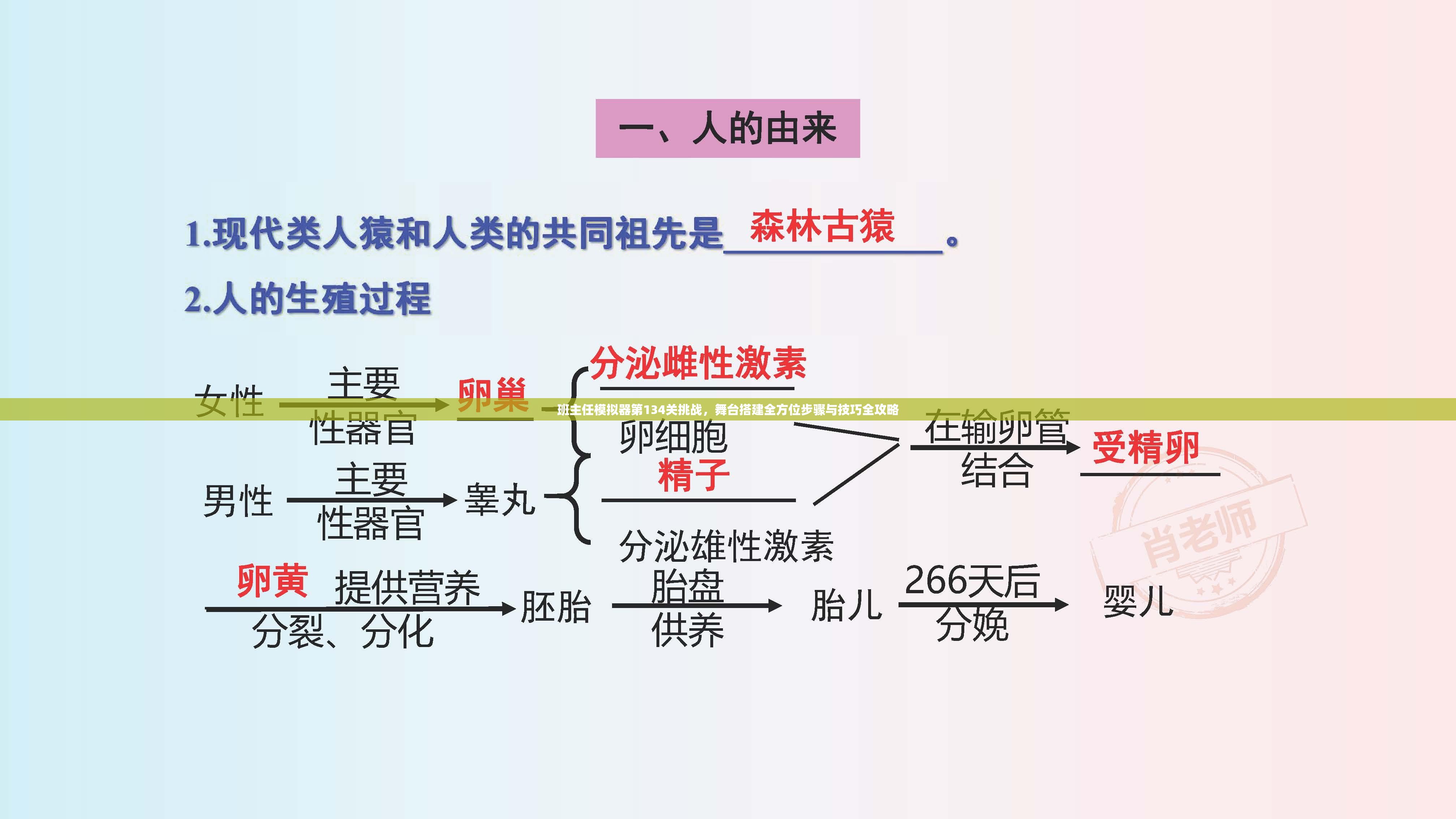 班主任模拟器第134关挑战，舞台搭建全方位步骤与技巧全攻略