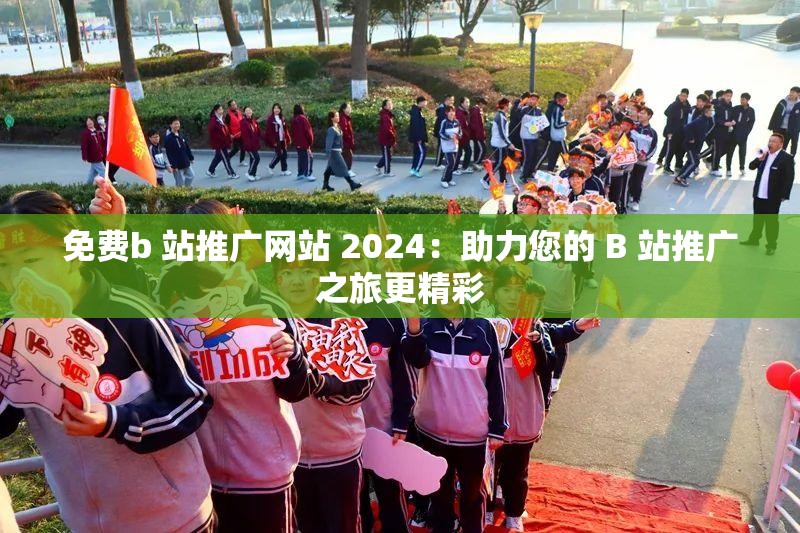 免费b 站推广网站 2024：助力您的 B 站推广之旅更精彩