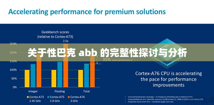 关于性巴克 abb 的完整性探讨与分析