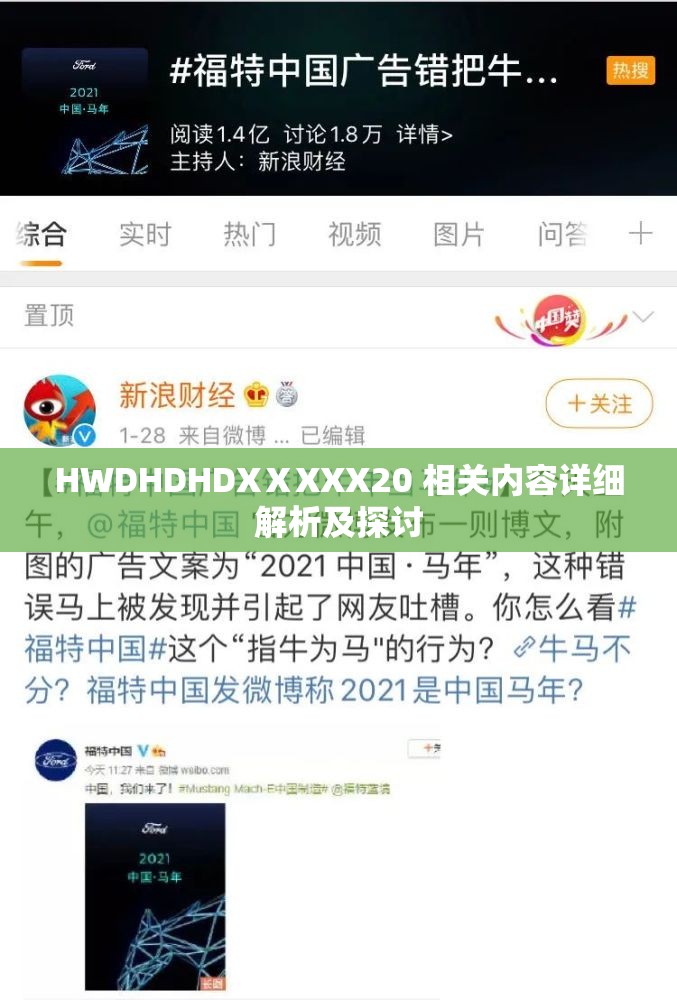 HWDHDHDXⅩXXX20 相关内容详细解析及探讨