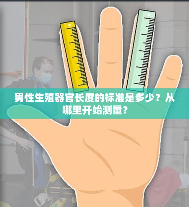 男性生殖器官长度的标准是多少？从哪里开始测量？