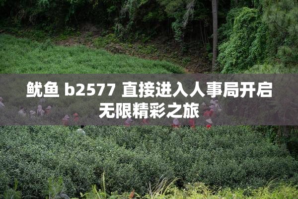 鱿鱼 b2577 直接进入人事局开启无限精彩之旅