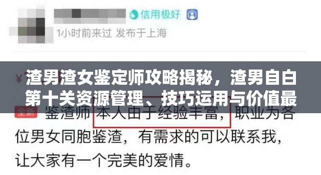 渣男渣女鉴定师攻略揭秘，渣男自白第十关资源管理、技巧运用与价值最大化策略