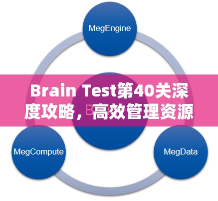 Brain Test第40关深度攻略，高效管理资源，巧妙策略探寻可显示的最大数字