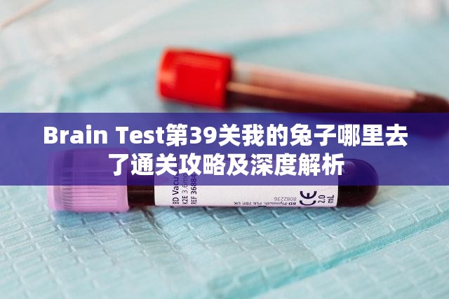 Brain Test第39关我的兔子哪里去了通关攻略及深度解析