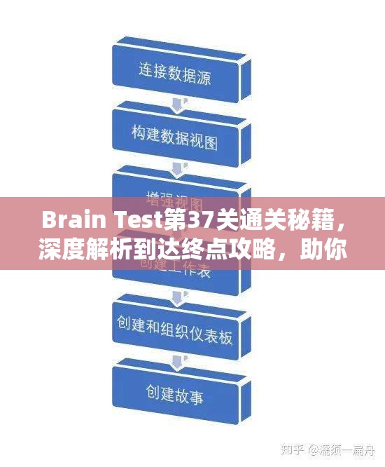 Brain Test第37关通关秘籍，深度解析到达终点攻略，助你实现游戏价值最大化