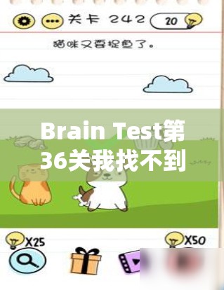 Brain Test第36关我找不到猫咪通关攻略，深度解析与巧妙方法揭秘