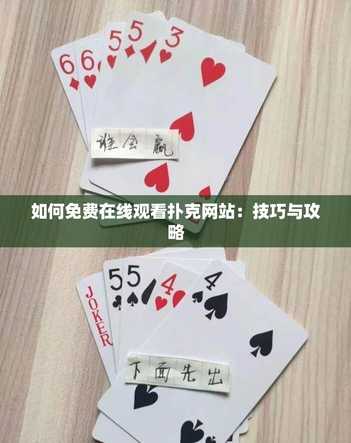 如何免费在线观看扑克网站：技巧与攻略