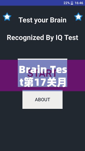 Brain Test第17关月份有28天通关攻略，掌握视觉错觉与逻辑推理是关键