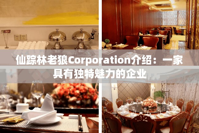 仙踪林老狼Corporation介绍：一家具有独特魅力的企业