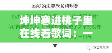 坤坤寒进桃子里在线看歌词：一段充满情感的旋律