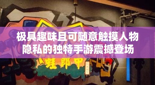 极具趣味且可随意触摸人物隐私的独特手游震撼登场