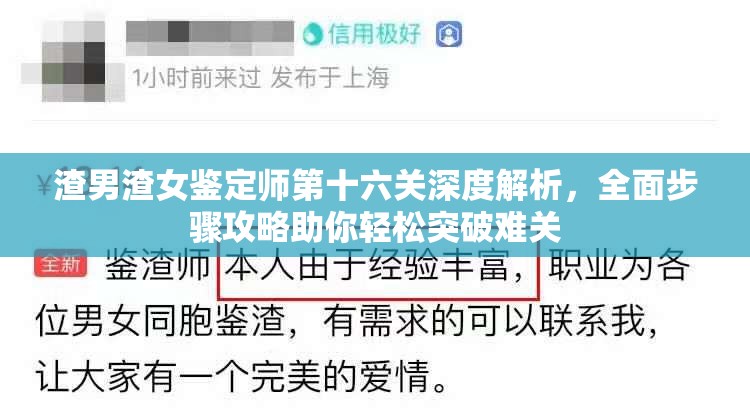 渣男渣女鉴定师第十六关深度解析，全面步骤攻略助你轻松突破难关