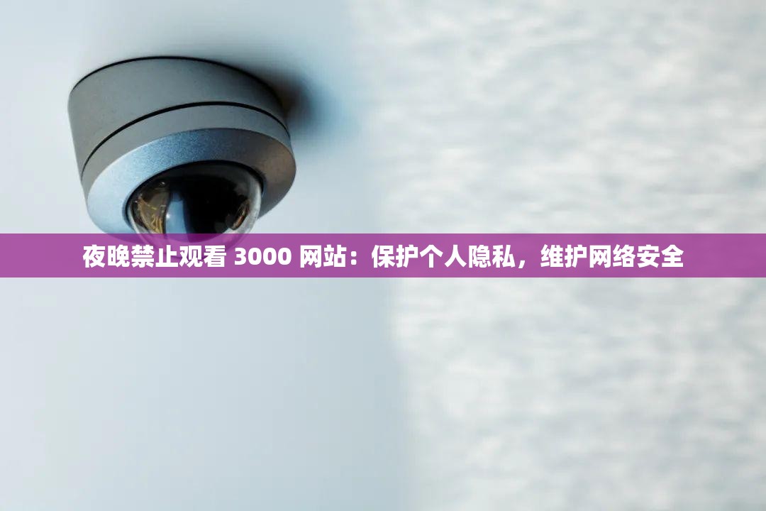 夜晚禁止观看 3000 网站：保护个人隐私，维护网络安全