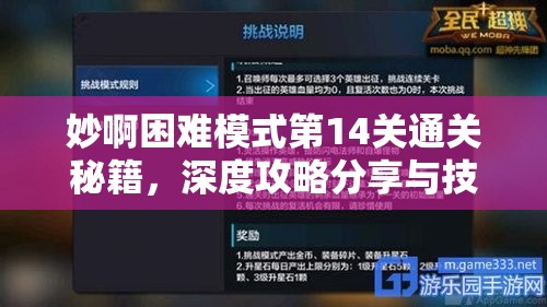 妙啊困难模式第14关通关秘籍，深度攻略分享与技巧全面解析