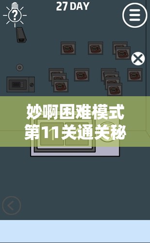 妙啊困难模式第11关通关秘籍，全面解析快速过关攻略与技巧