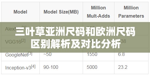 三叶草亚洲尺码和欧洲尺码区别解析及对比分析