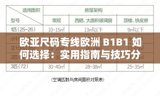 欧亚尺码专线欧洲 B1B1 如何选择：实用指南与技巧分享