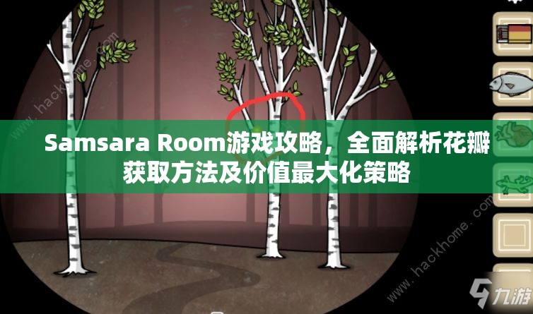 Samsara Room游戏攻略，全面解析花瓣获取方法及价值最大化策略