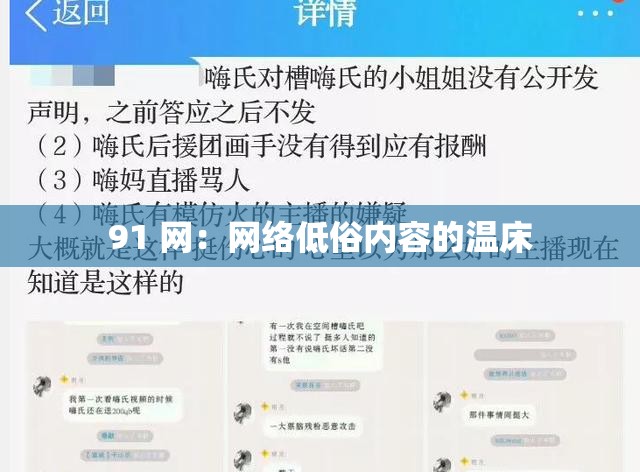 91 网：网络低俗内容的温床