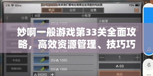 妙啊一般游戏第33关全面攻略，高效资源管理、技巧巧妙运用与价值最大化策略