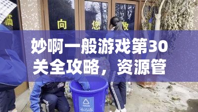 妙啊一般游戏第30关全攻略，资源管理技巧大揭秘及价值最大化策略