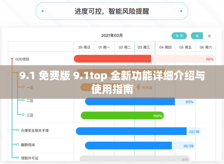 9.1 免费版 9.1top 全新功能详细介绍与使用指南