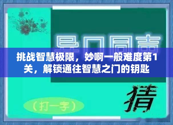 挑战智慧极限，妙啊一般难度第1关，解锁通往智慧之门的钥匙