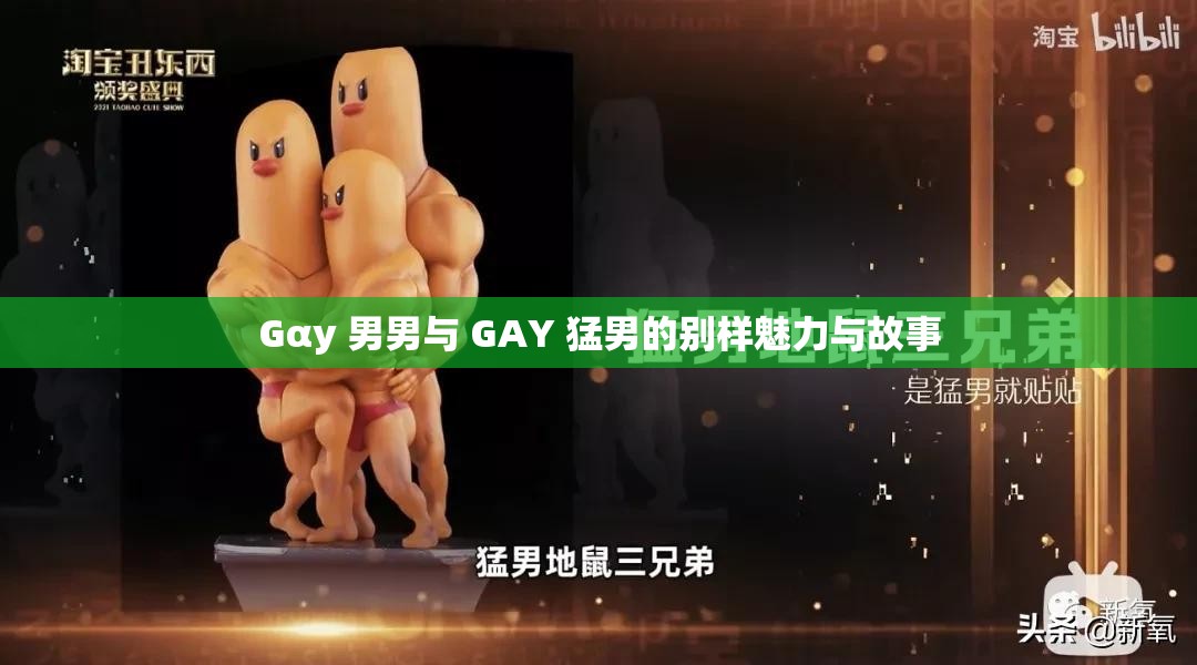 Gαy 男男与 GAY 猛男的别样魅力与故事