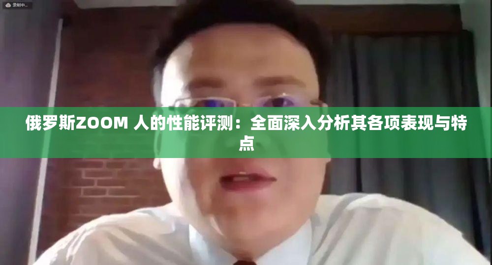 俄罗斯ZOOM 人的性能评测：全面深入分析其各项表现与特点