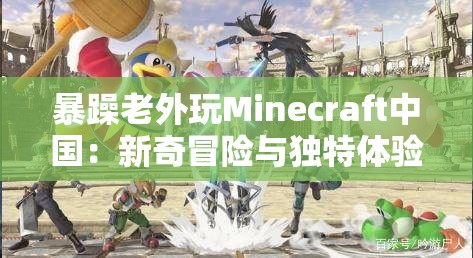 暴躁老外玩Minecraft中国：新奇冒险与独特体验之旅