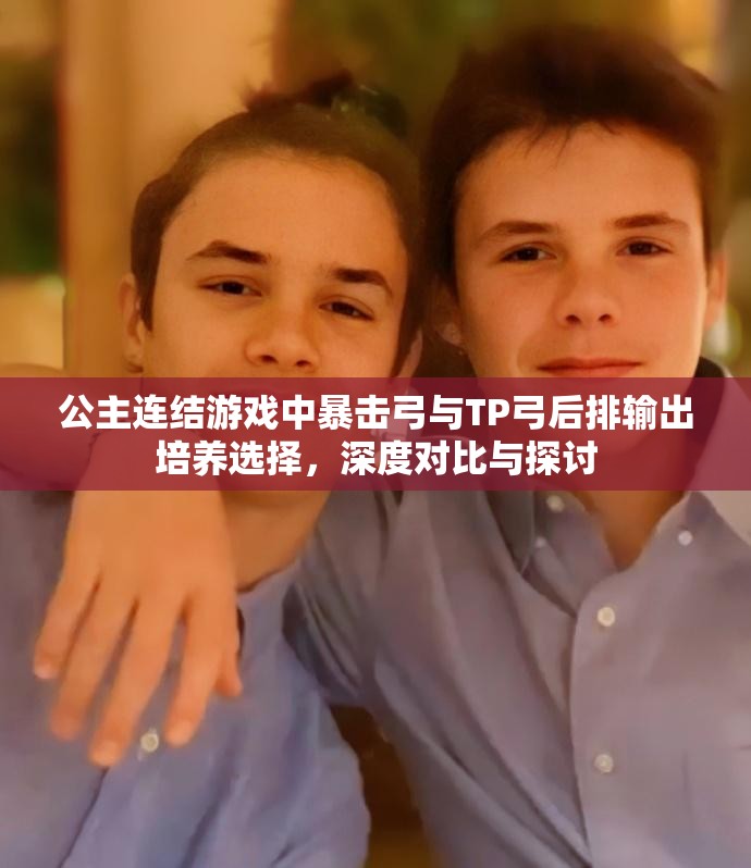 公主连结游戏中暴击弓与TP弓后排输出培养选择，深度对比与探讨