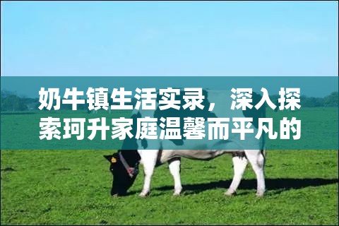 奶牛镇生活实录，深入探索珂升家庭温馨而平凡的日常轨迹