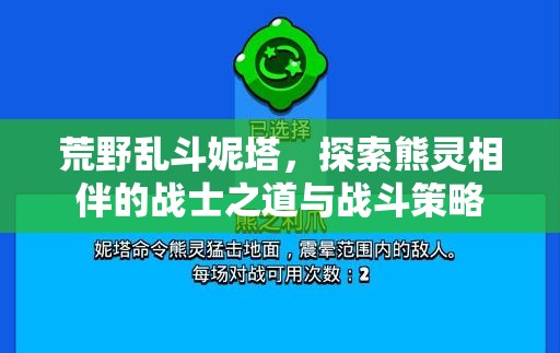 荒野乱斗妮塔，探索熊灵相伴的战士之道与战斗策略