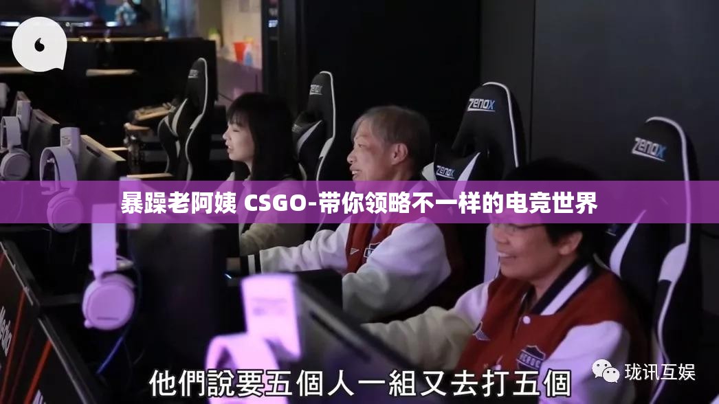 暴躁老阿姨 CSGO-带你领略不一样的电竞世界