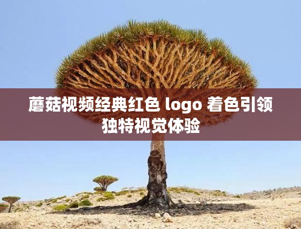 蘑菇视频经典红色 logo 着色引领独特视觉体验