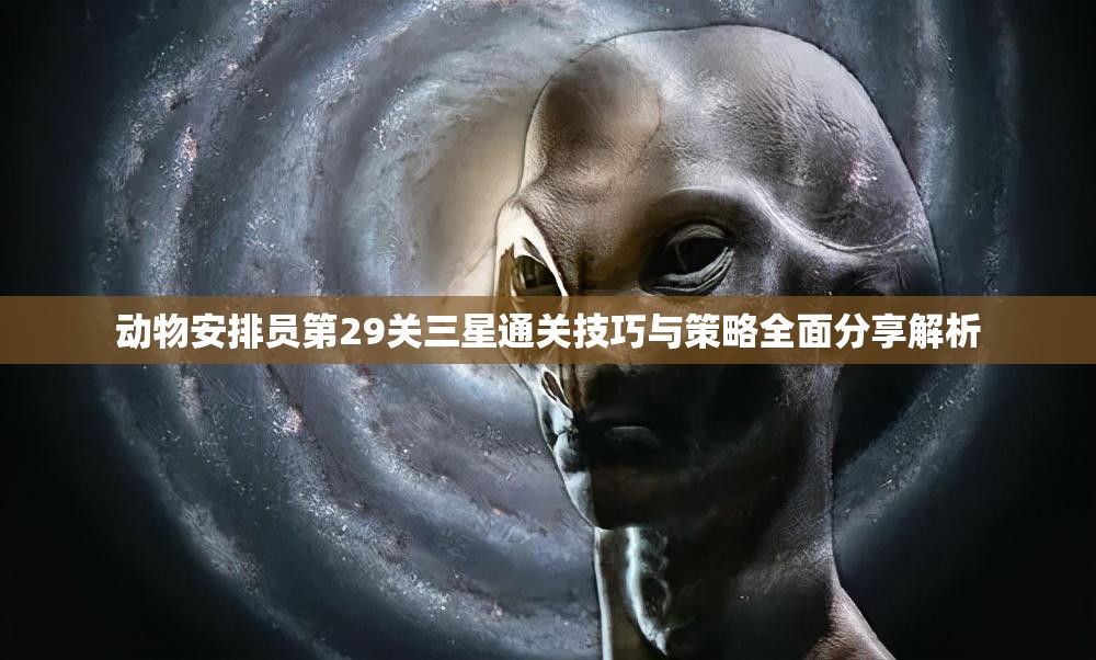 动物安排员第29关三星通关技巧与策略全面分享解析