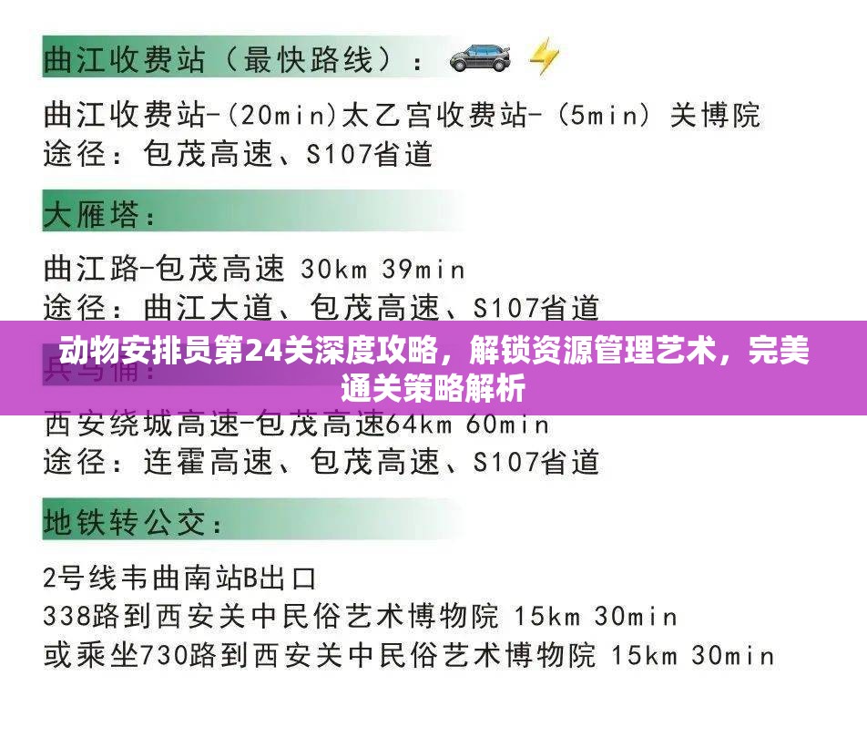 动物安排员第24关深度攻略，解锁资源管理艺术，完美通关策略解析