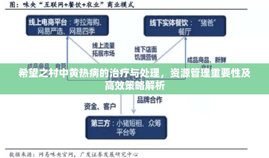 希望之村中黄热病的治疗与处理，资源管理重要性及高效策略解析