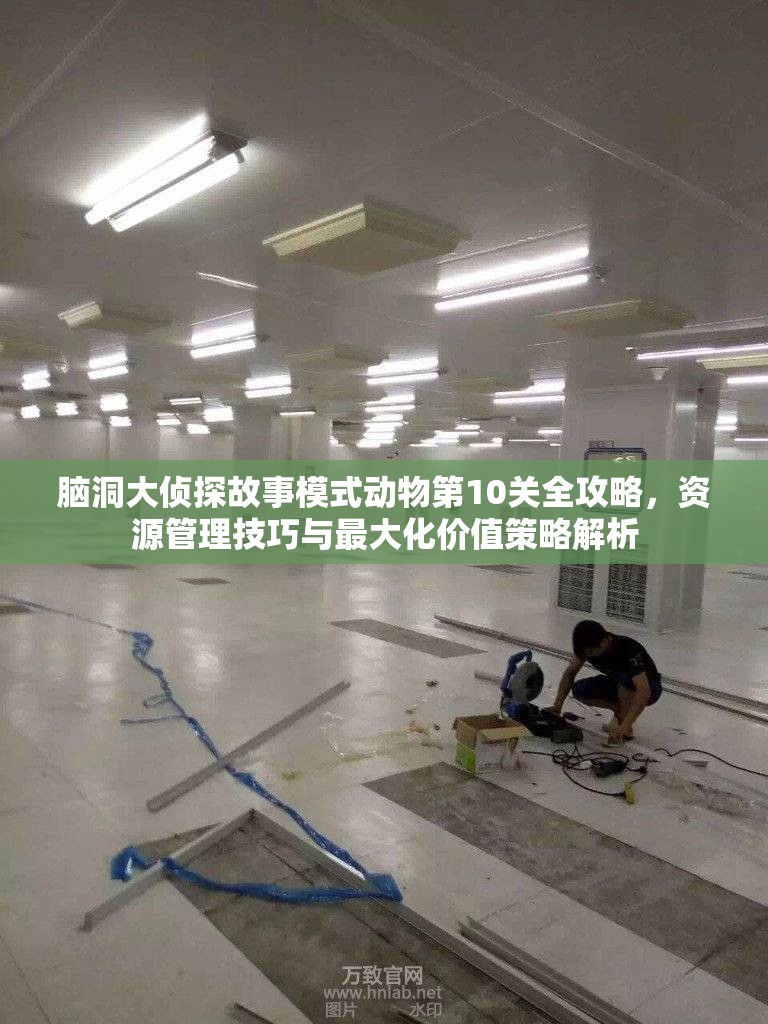 脑洞大侦探故事模式动物第10关全攻略，资源管理技巧与最大化价值策略解析