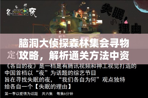 脑洞大侦探森林集会寻物攻略，解析通关方法中资源管理的关键策略与技巧