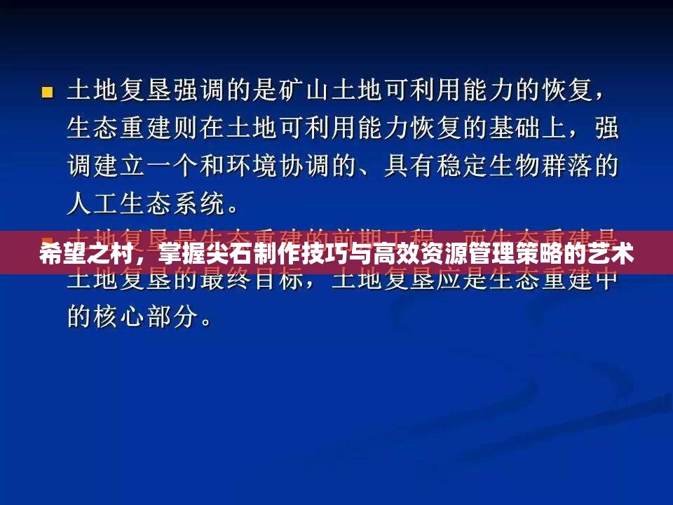 希望之村，掌握尖石制作技巧与高效资源管理策略的艺术