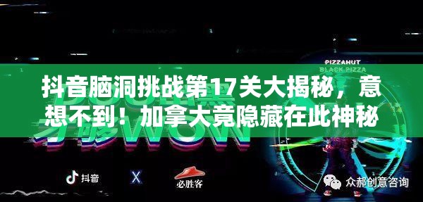 抖音脑洞挑战第17关大揭秘，意想不到！加拿大竟隐藏在此神秘关卡中