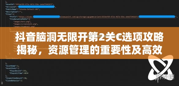 抖音脑洞无限开第2关C选项攻略揭秘，资源管理的重要性及高效应用策略