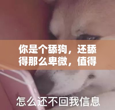 你是个舔狗，还舔得那么卑微，值得吗？