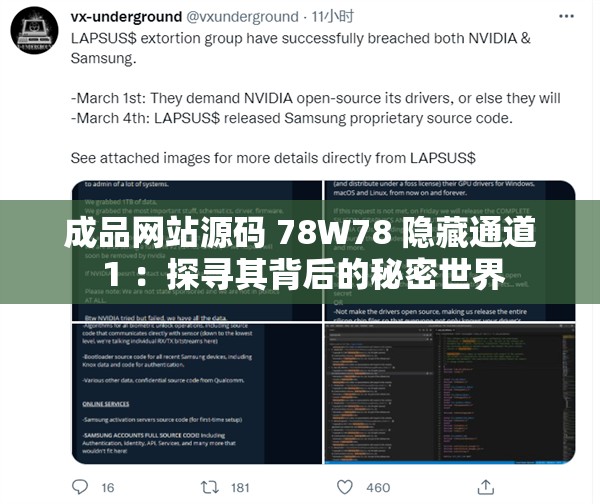 成品网站源码 78W78 隐藏通道 1 ：探寻其背后的秘密世界