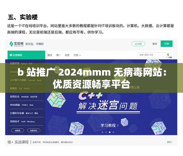 b 站推广 2024mmm 无病毒网站：优质资源畅享平台